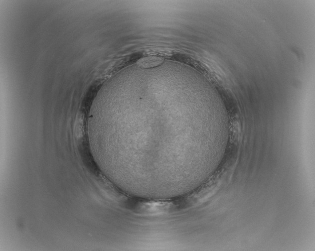 X0000115390323200911171502