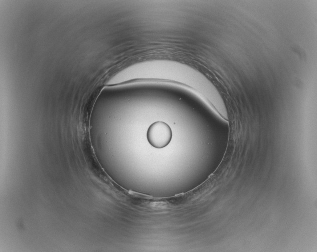 X0000115390324200911171502