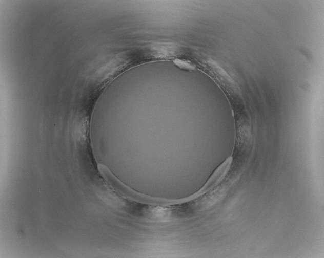 X0000115390325200911171502