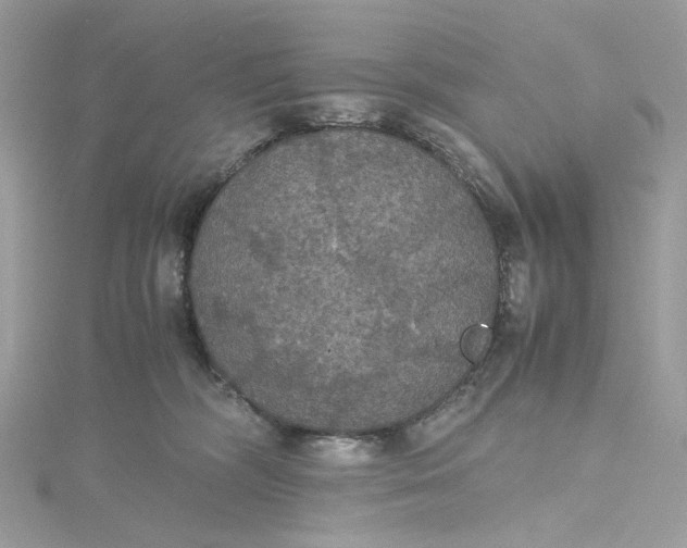 X0000115390326200911171502