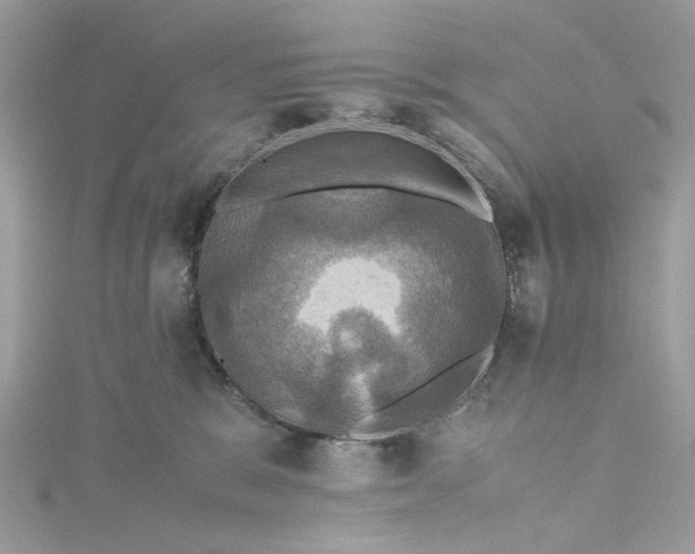 X0000115390327200911171501