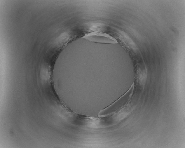 X0000115390328200911171501