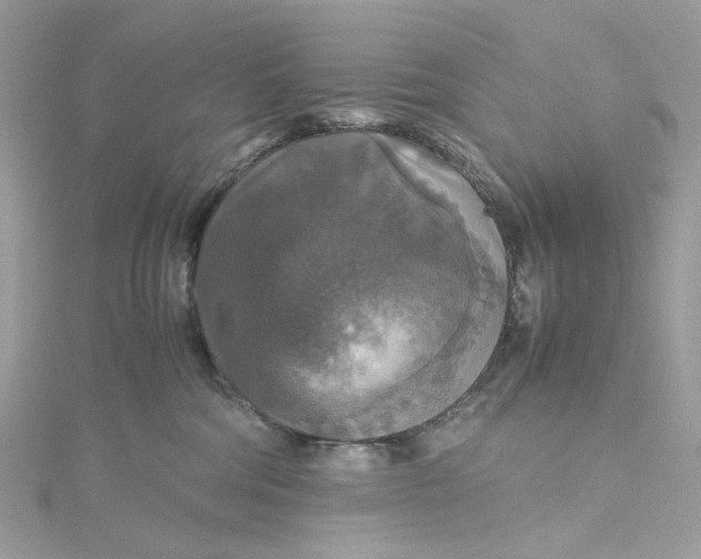 X0000115390330200911171501