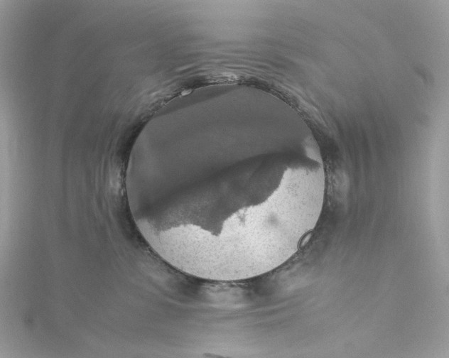 X0000115390331200911171501