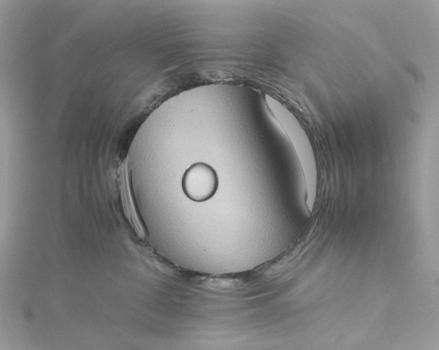 X0000115390332200911171501