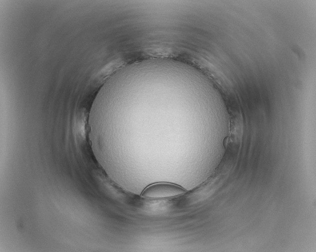 X0000115390334200911171501