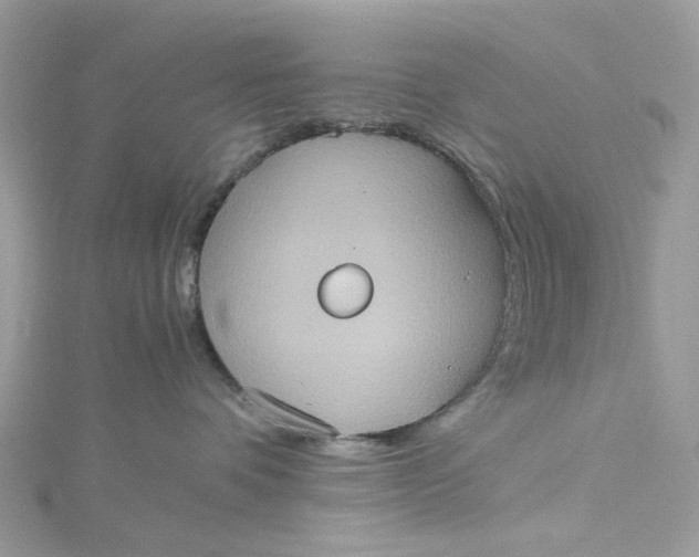 X0000115390336200911171501