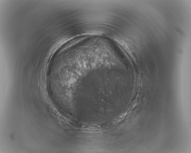 X0000115390337200911171501