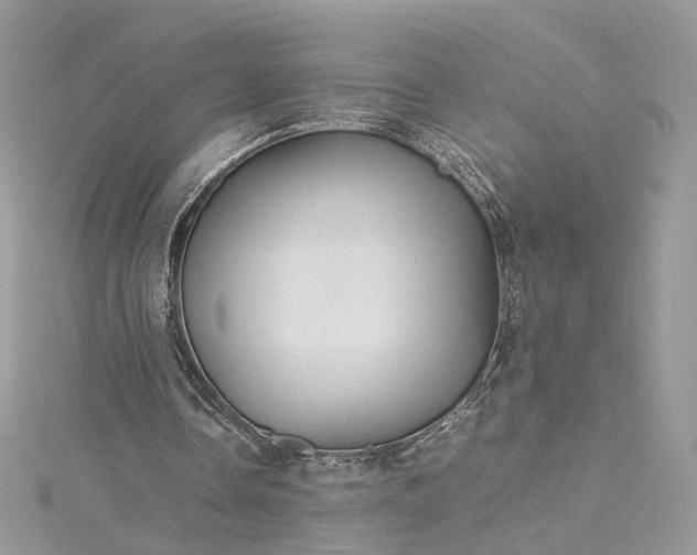 X0000115390338200911171501