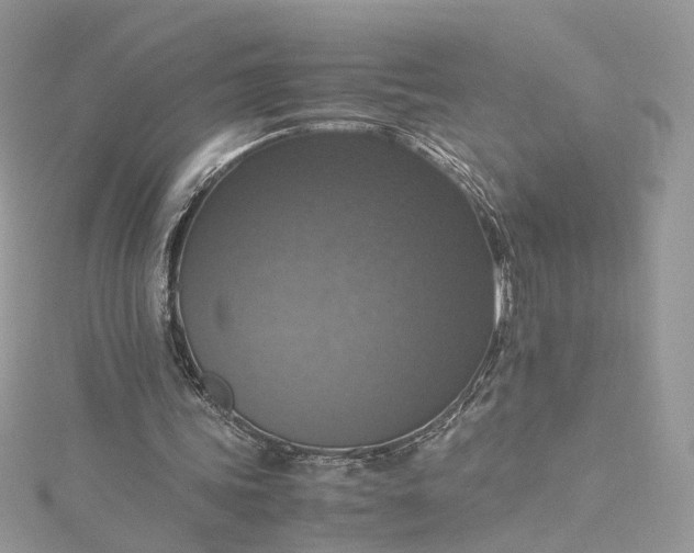 X0000115390339200911171501