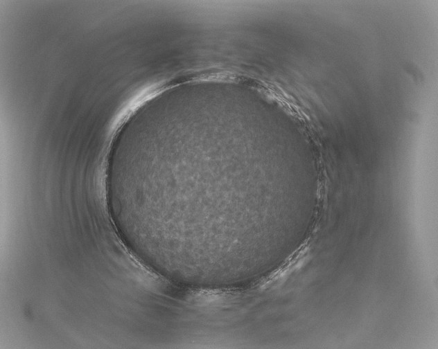 X0000115390341200911171501