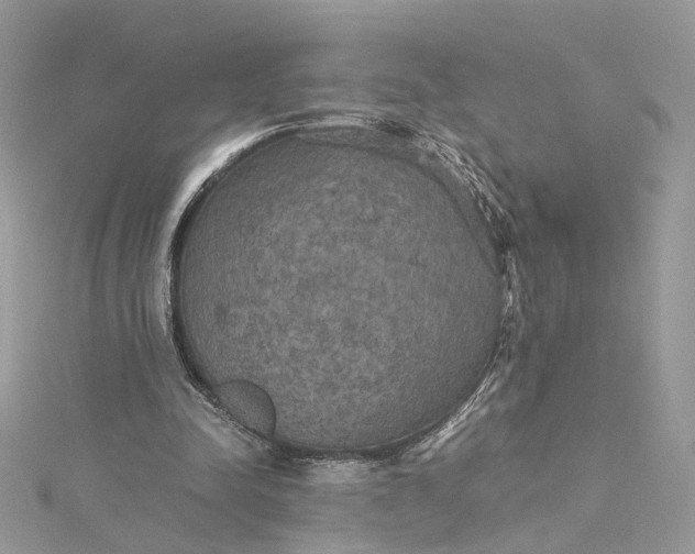 X0000115390342200911171501