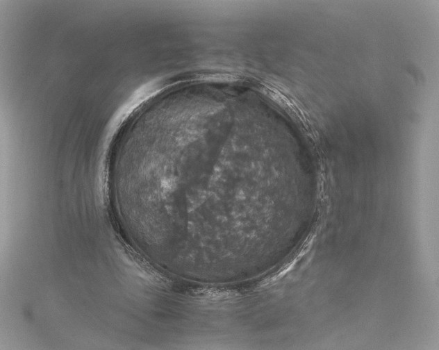 X0000115390343200911171501