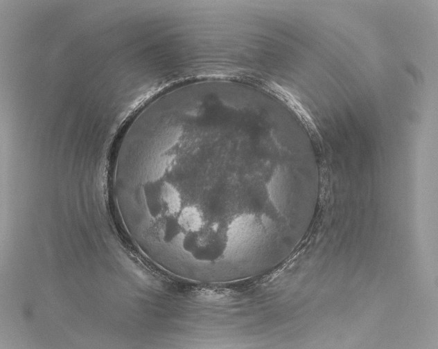 X0000115390346200911171501