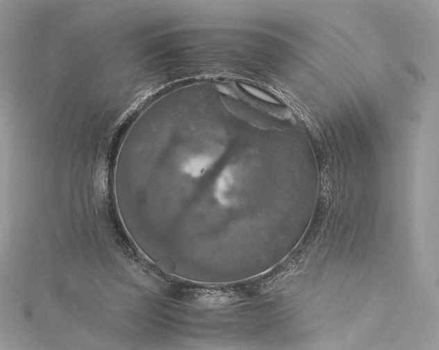 X0000115390347200911171501