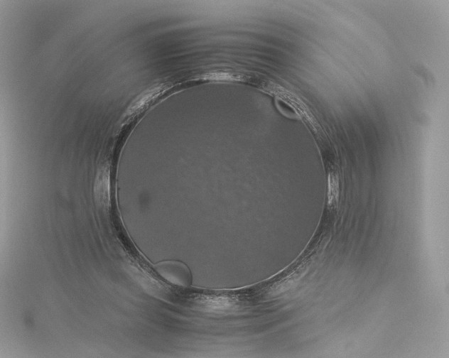 X0000115390349200911171501