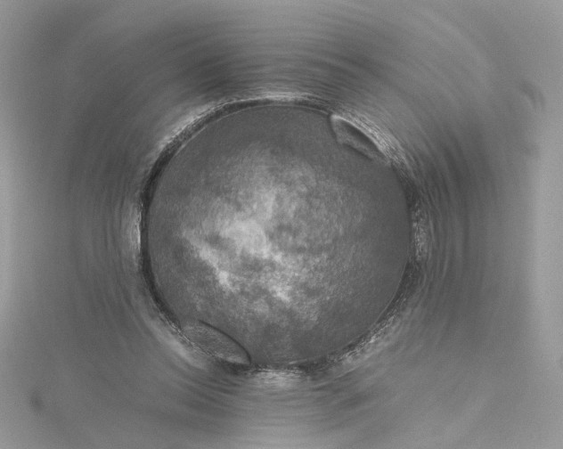 X0000115390350200911171501