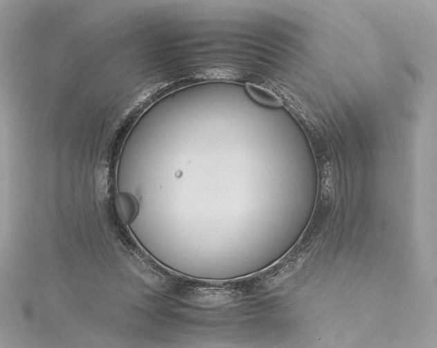 X0000115390351200911171501