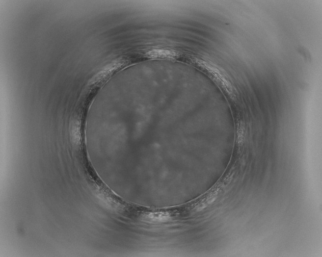 X0000115390353200911171501