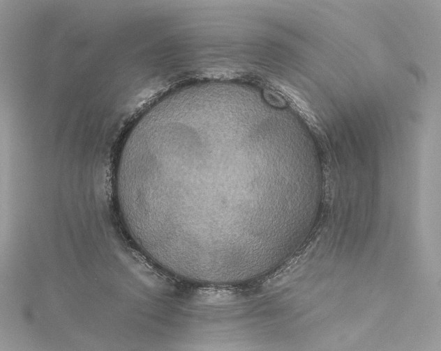 X0000115390354200911171501