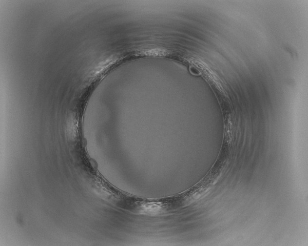 X0000115390355200911171501