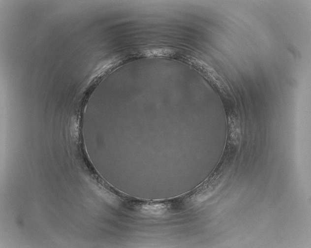 X0000115390357200911171501