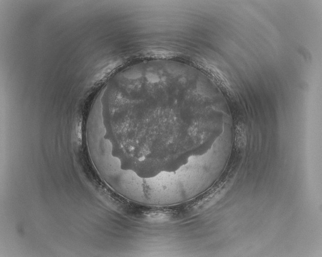 X0000115390358200911171501