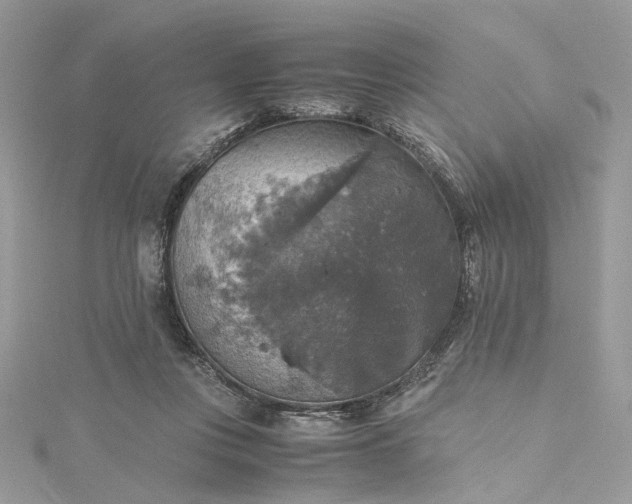 X0000115390359200911171501