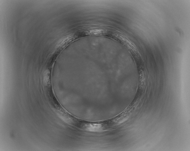 X0000115390361200911171501