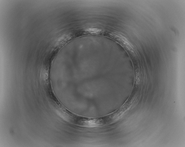 X0000115390365200911171501