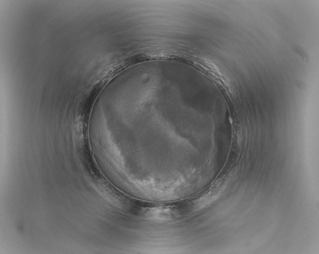 X0000115390366200911171501