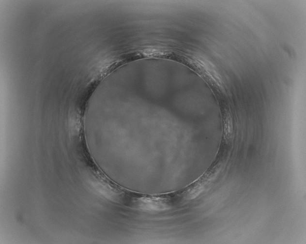 X0000115390367200911171501