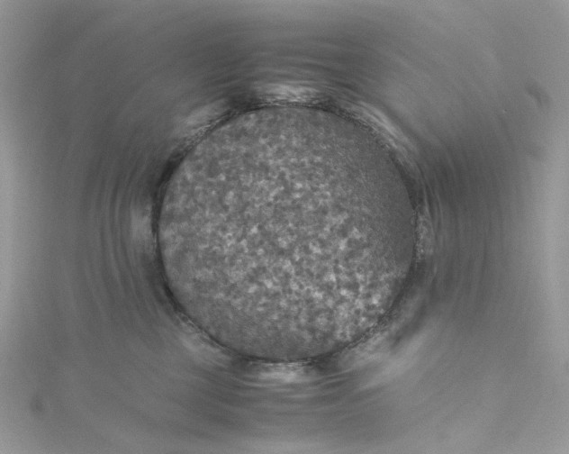 X0000115390377200911171501