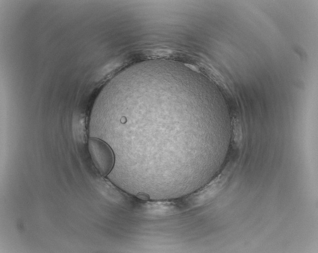 X0000115390378200911171501