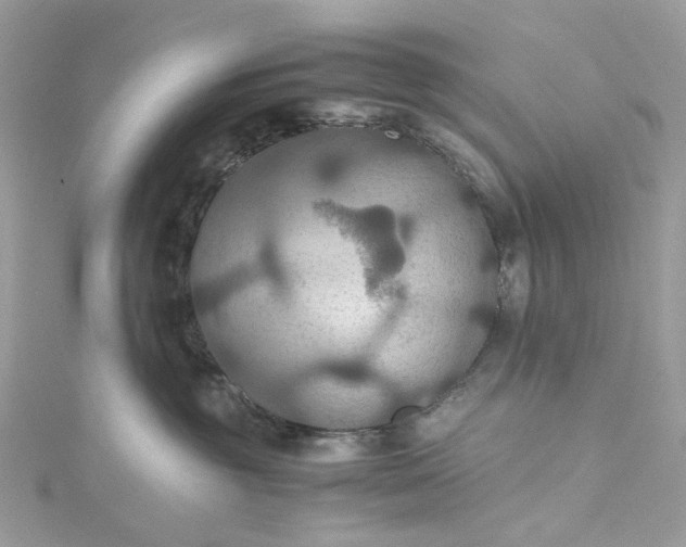 X0000115390381200911171501