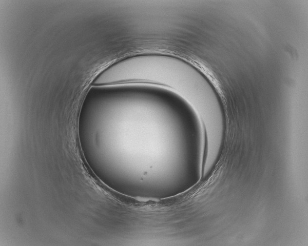 X0000115390385200911171501