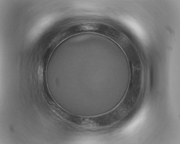 X0000115390387200911171501