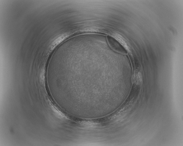 X0000115390389200911171501