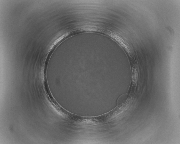 X0000115390390200911171501