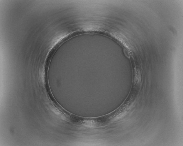 X0000115390391200911171501