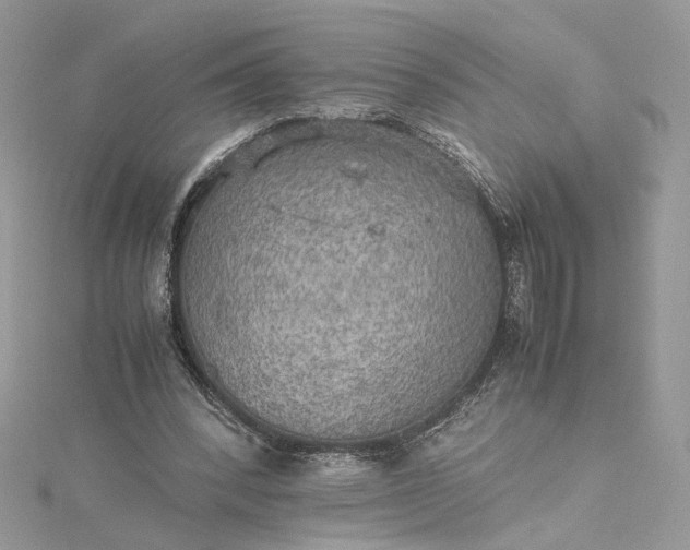 X0000115390392200911171501