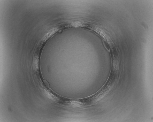 X0000115390393200911171501