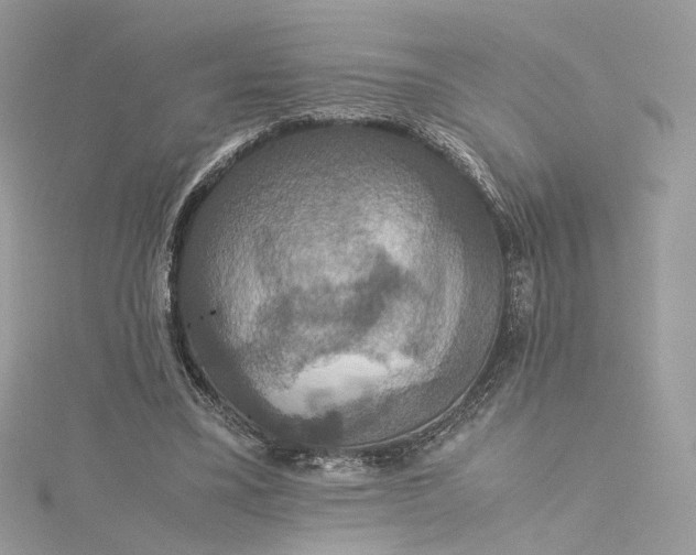 X0000115390395200911171501