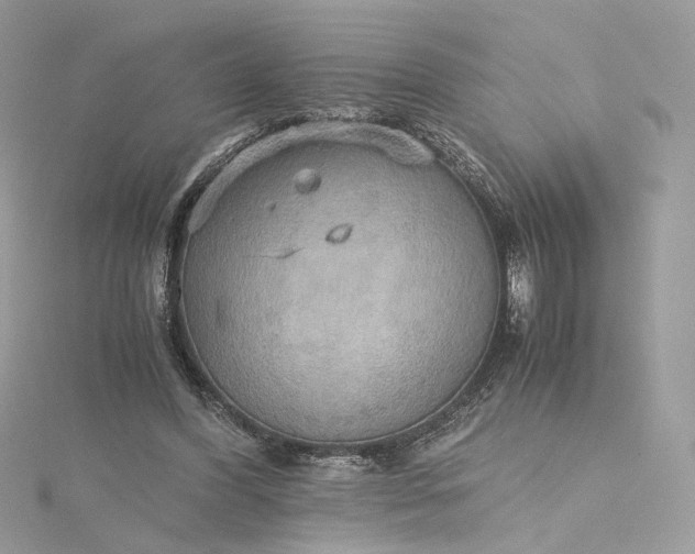 X0000115390396200911171501