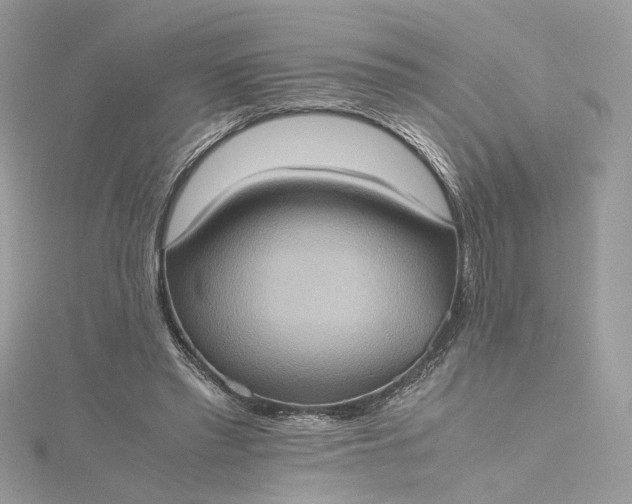 X0000115390397200911171501