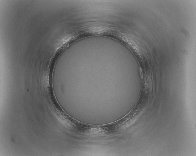 X0000115390399200911171501