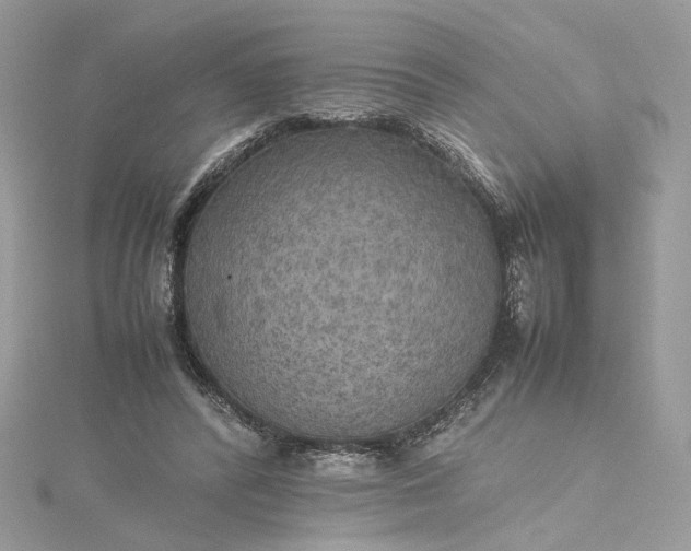 X0000115390400200911171501