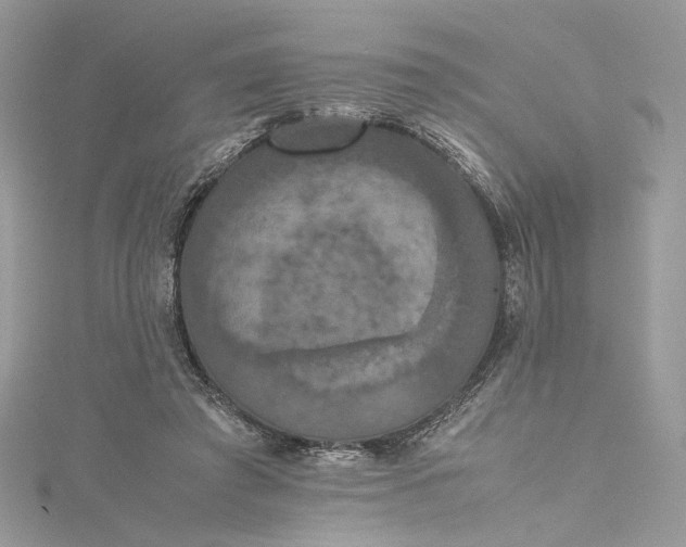 X0000115390401200911171501