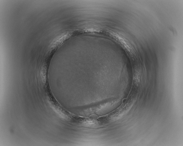 X0000115390402200911171501