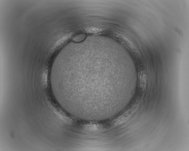 X0000115390404200911171501